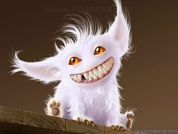 � ���� �����!