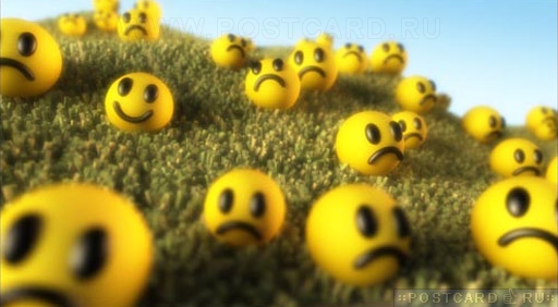 ������ ��������, ������ ���!