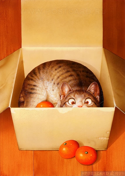 �������!