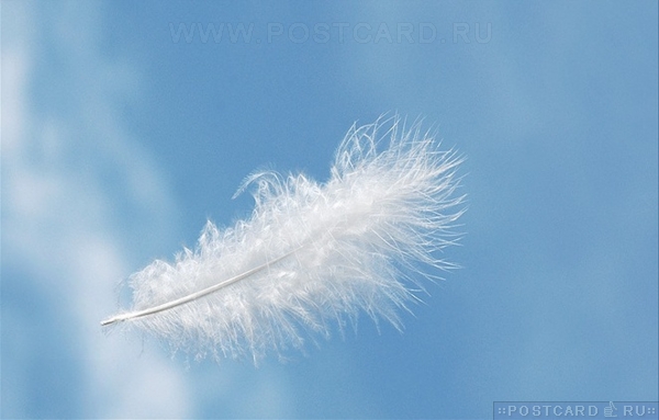 �������� ��������� �����!