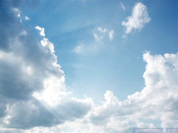 ������� �����!