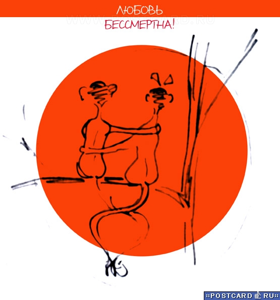 ������ ����������!