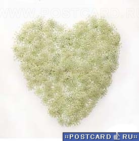 � ���� ��. ���������!