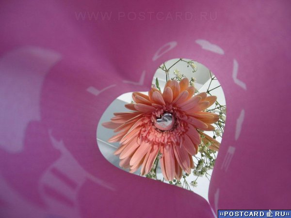 cart-st-valentin